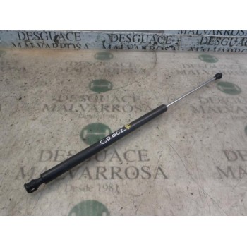 AMORTIGUADORES MALETERO / PORTON 