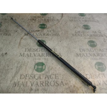 AMORTIGUADORES MALETERO / PORTON 