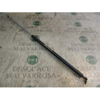 AMORTIGUADORES MALETERO / PORTON 