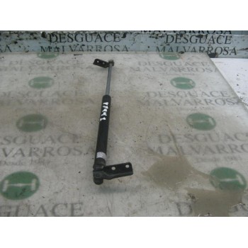 AMORTIGUADORES MALETERO / PORTON 