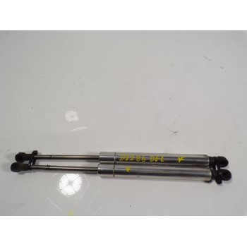 AMORTIGUADOR CAPOT 3D0823359B 