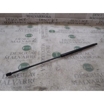 AMORTIGUADORES MALETERO / PORTON 