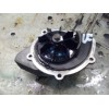 Recambio de bomba agua para ford focus berlina (cap) 2.0 tdci cat referencia OEM IAM   