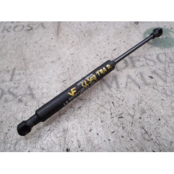 AMORTIGUADORES MALETERO / PORTON 