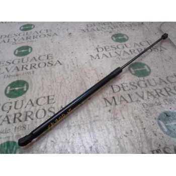 AMORTIGUADORES MALETERO / PORTON 