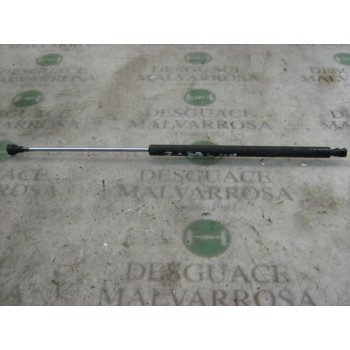 AMORTIGUADORES MALETERO / PORTON 