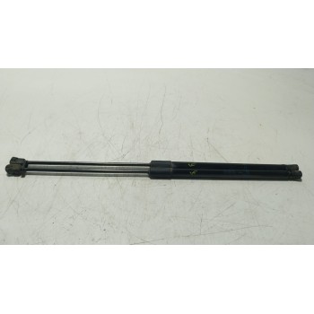 AMORTIGUADORES MALETERO / PORTON 13428038 7337550260N 