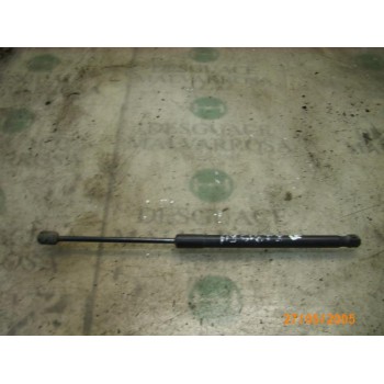 AMORTIGUADORES MALETERO / PORTON 