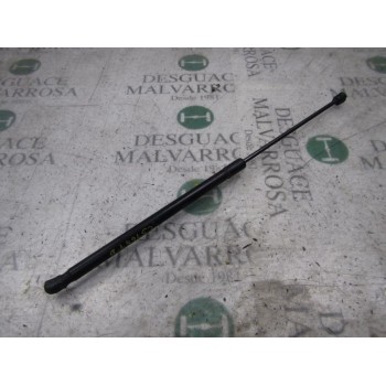 AMORTIGUADORES MALETERO / PORTON 