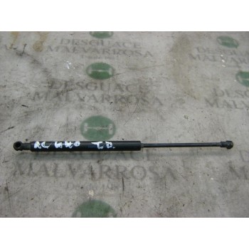 AMORTIGUADORES MALETERO / PORTON 