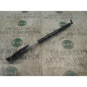 AMORTIGUADORES MALETERO / PORTON 