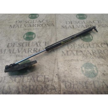 AMORTIGUADORES MALETERO / PORTON 