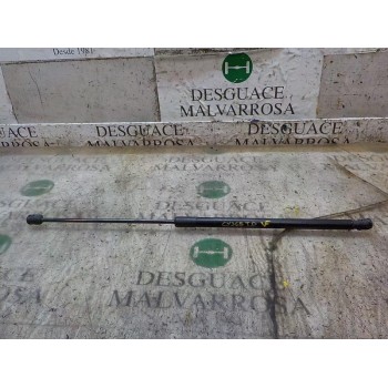 AMORTIGUADORES MALETERO / PORTON 