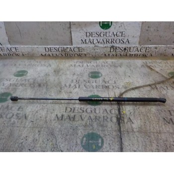 AMORTIGUADORES MALETERO / PORTON 