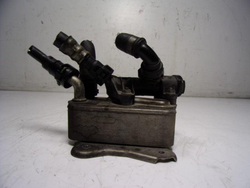 Recambio de enfriador gasoil para bmw x6 (e71) 3.0d referencia OEM IAM 17217800408  