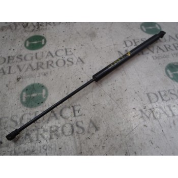 AMORTIGUADORES MALETERO / PORTON 