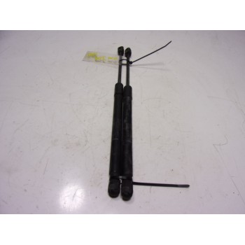 AMORTIGUADORES MALETERO / PORTON 904520004R 