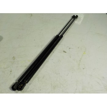 AMORTIGUADORES MALETERO / PORTON 