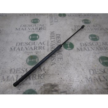 AMORTIGUADORES MALETERO / PORTON 