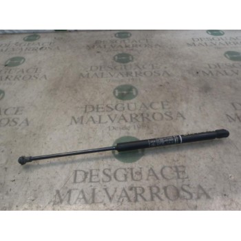 AMORTIGUADORES MALETERO / PORTON 