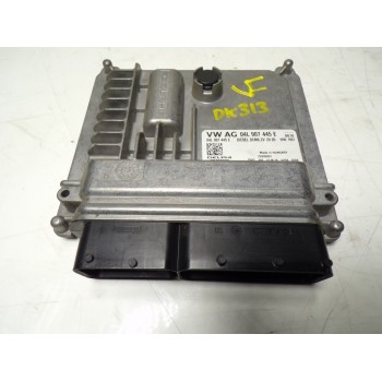 CENTRALITA MOTOR UCE 04L906056HF 04L907445E 