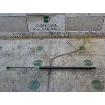 AMORTIGUADORES MALETERO / PORTON 51243400379 