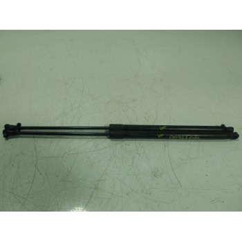 AMORTIGUADOR CAPOT 50573204 00505732040 