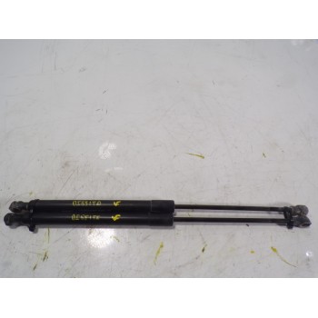 AMORTIGUADORES MALETERO / PORTON 904529943R 