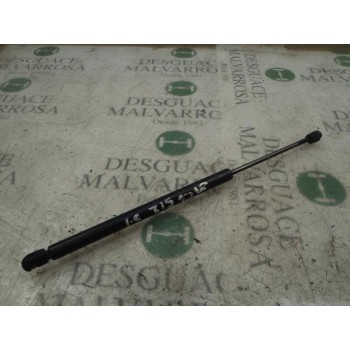 AMORTIGUADORES MALETERO / PORTON 