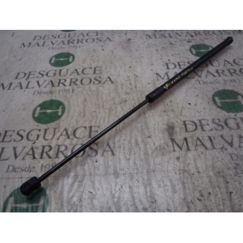 AMORTIGUADORES MALETERO / PORTON 