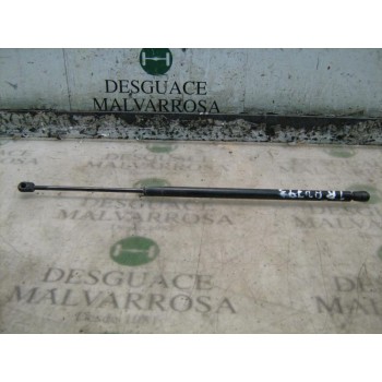 AMORTIGUADORES MALETERO / PORTON 