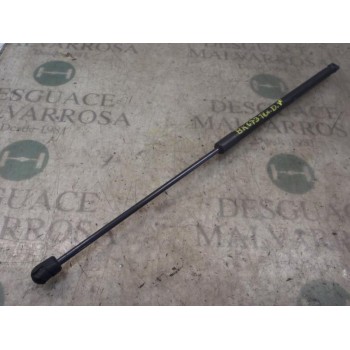 AMORTIGUADORES MALETERO / PORTON 