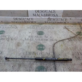 AMORTIGUADORES MALETERO / PORTON 51778432 