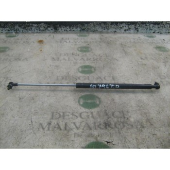 AMORTIGUADORES MALETERO / PORTON 