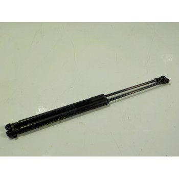 AMORTIGUADOR CAPOT 534400W280 