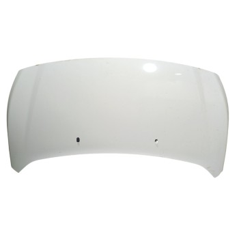 CAPOT DELANTERO 2407980 