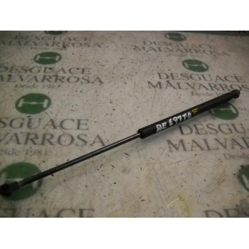 AMORTIGUADORES MALETERO / PORTON 