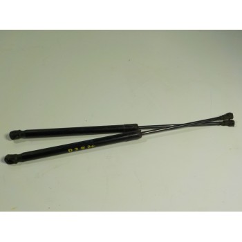 AMORTIGUADORES MALETERO / PORTON 