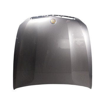 CAPOT DELANTERO 41617486754 