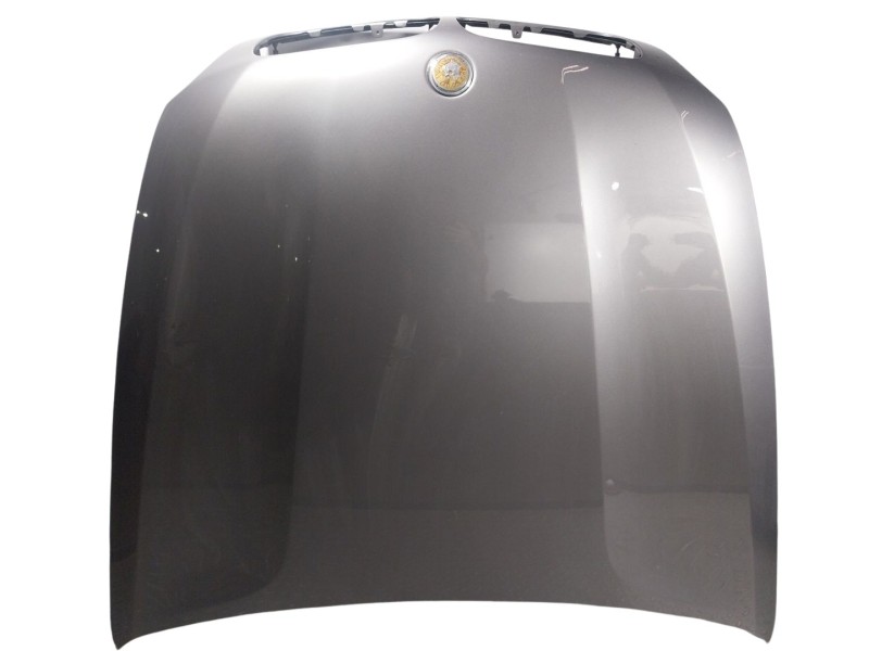 Recambio de capot delantero para bmw x5 (e70) 3.0 d referencia OEM IAM 41617486754  