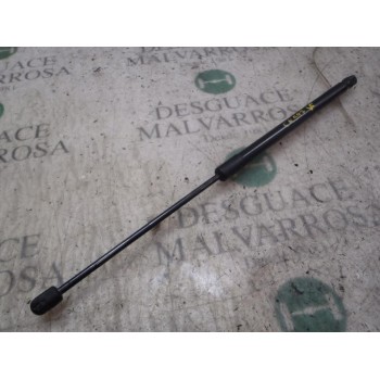 AMORTIGUADORES MALETERO / PORTON 