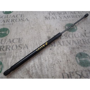 AMORTIGUADORES MALETERO / PORTON 