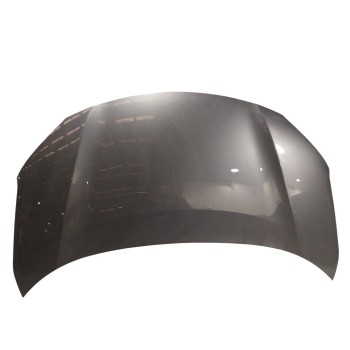 CAPOT DELANTERO 53301K2010 