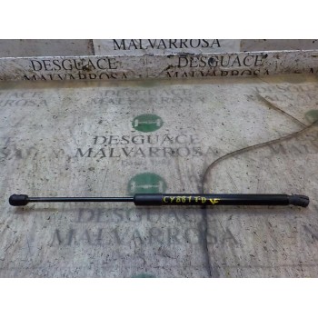 AMORTIGUADORES MALETERO / PORTON 