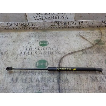 AMORTIGUADORES MALETERO / PORTON 