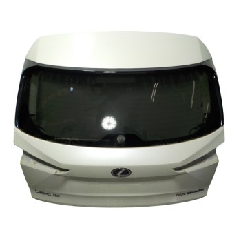 PORTON TRASERO 6700578050 