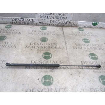 AMORTIGUADORES MALETERO / PORTON 