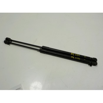 AMORTIGUADORES MALETERO / PORTON 13220159 