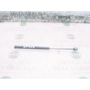 AMORTIGUADORES MALETERO / PORTON 