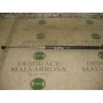 AMORTIGUADORES MALETERO / PORTON 